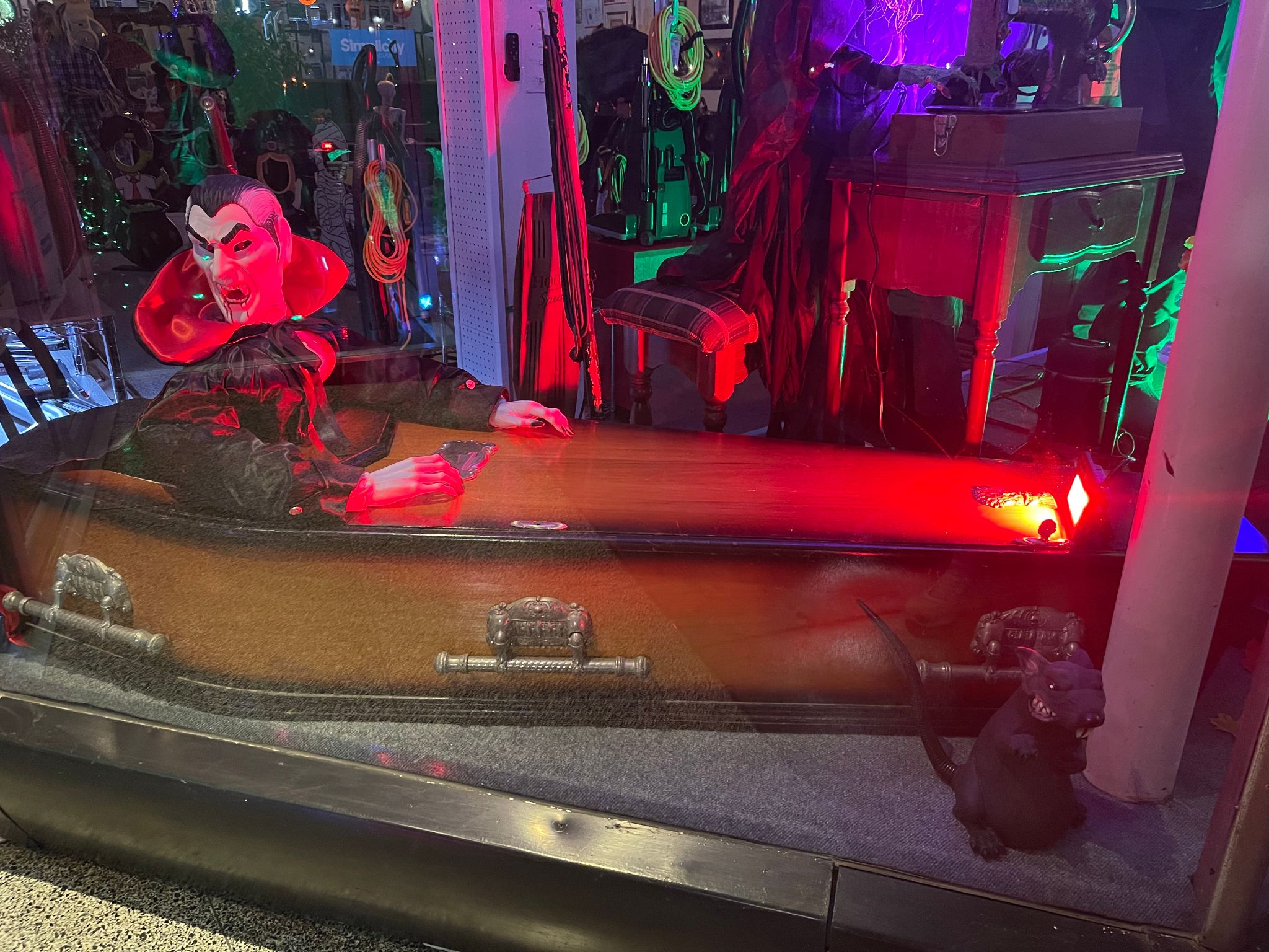 dracula and coffin at johns sweeper