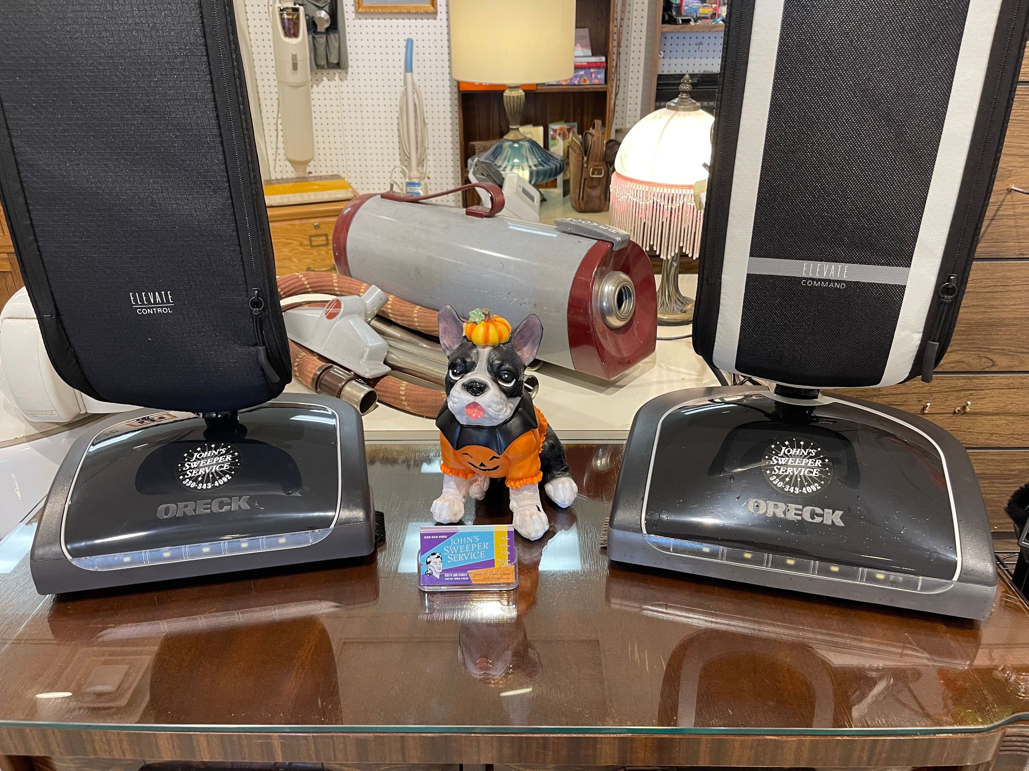 halloween dog next to tso vacuums