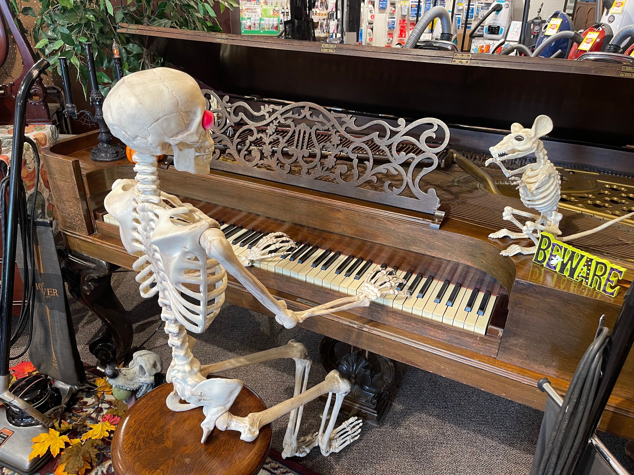 skeleton playing piano