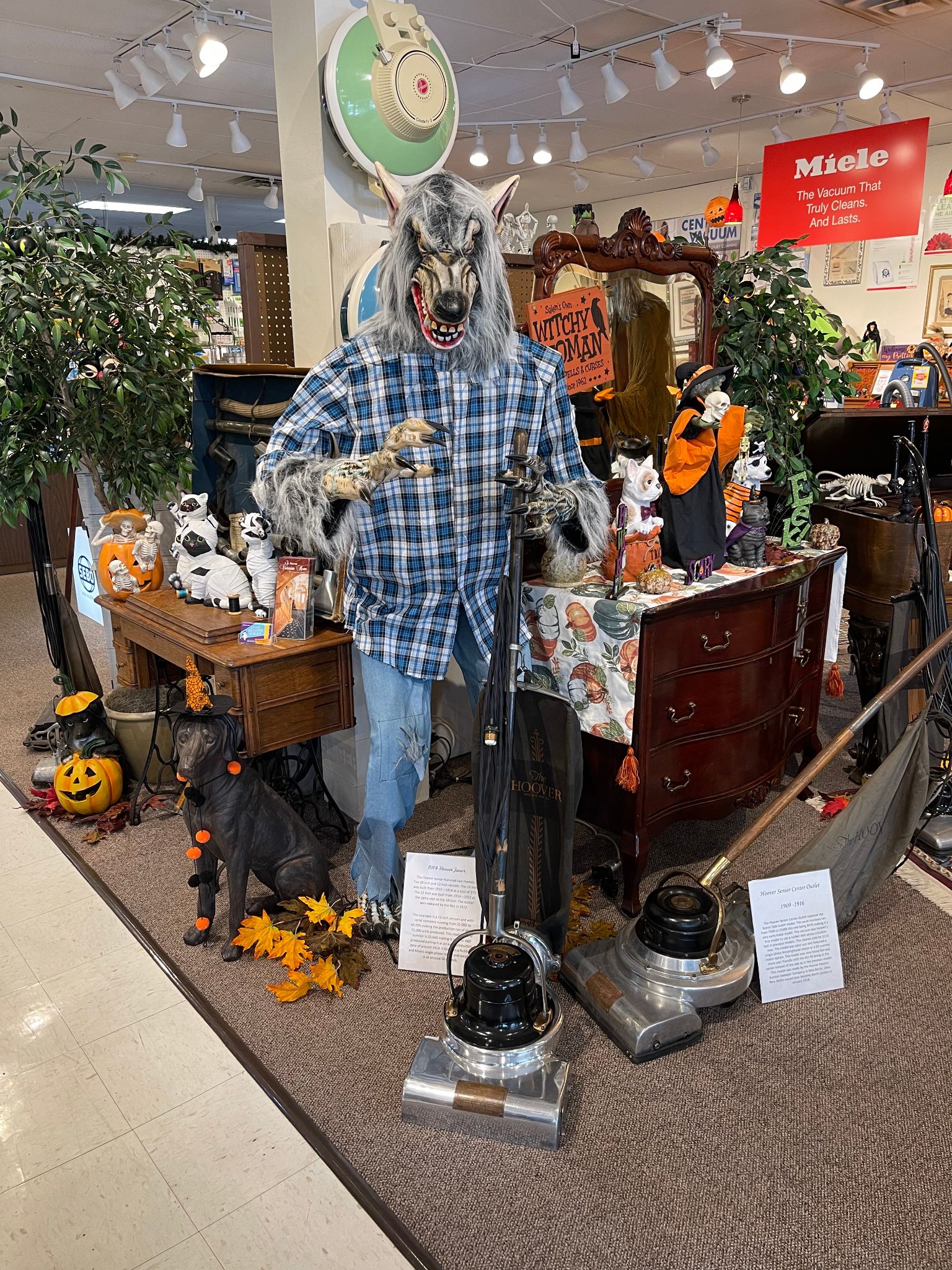 wearwolf in plaid holding vacuum